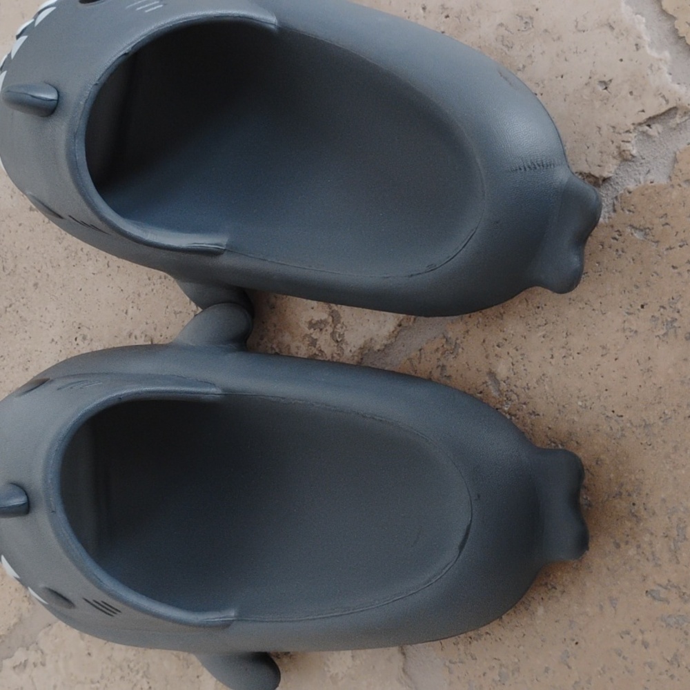 Shark Slides - Picture 5 of 5